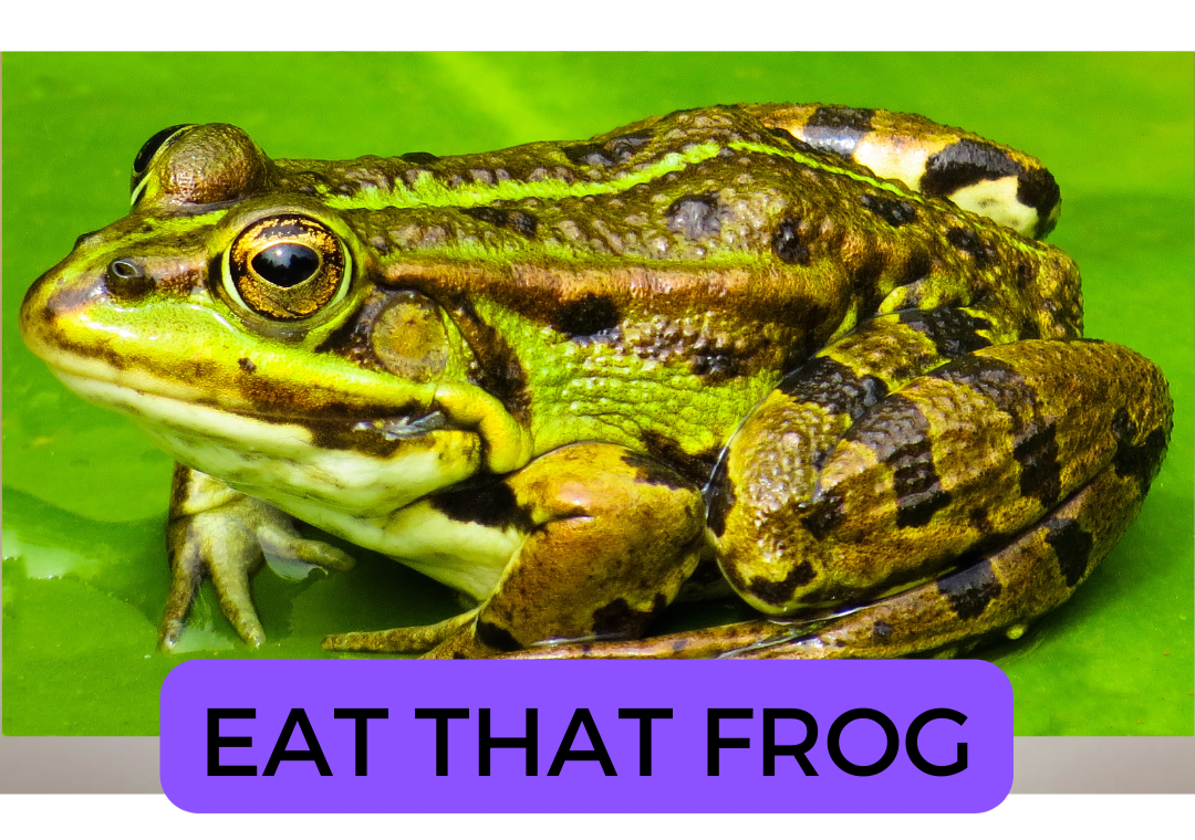 Meningkatkan Produktivitas Eat that frog